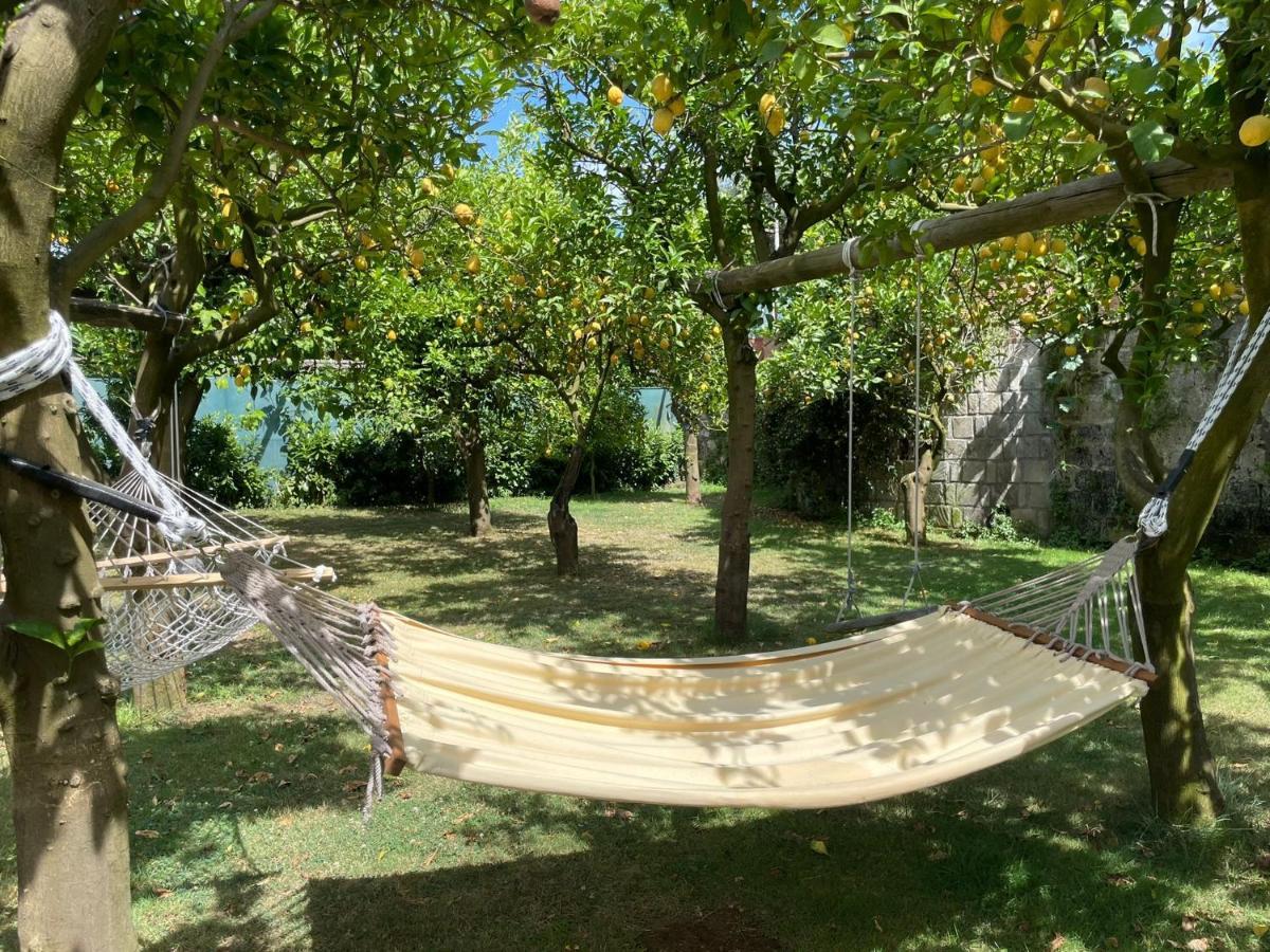 Casa Sorrento, Immerso Nel Verde A Pochi Passi Dal Centro מראה חיצוני תמונה