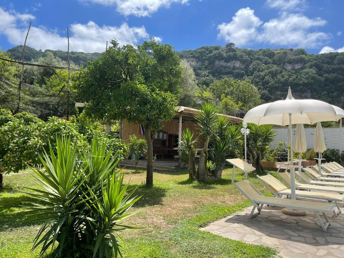 Casa Sorrento, Immerso Nel Verde A Pochi Passi Dal Centro מראה חיצוני תמונה