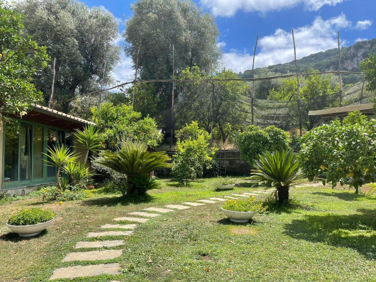 Casa Sorrento, Immerso Nel Verde A Pochi Passi Dal Centro מראה חיצוני תמונה