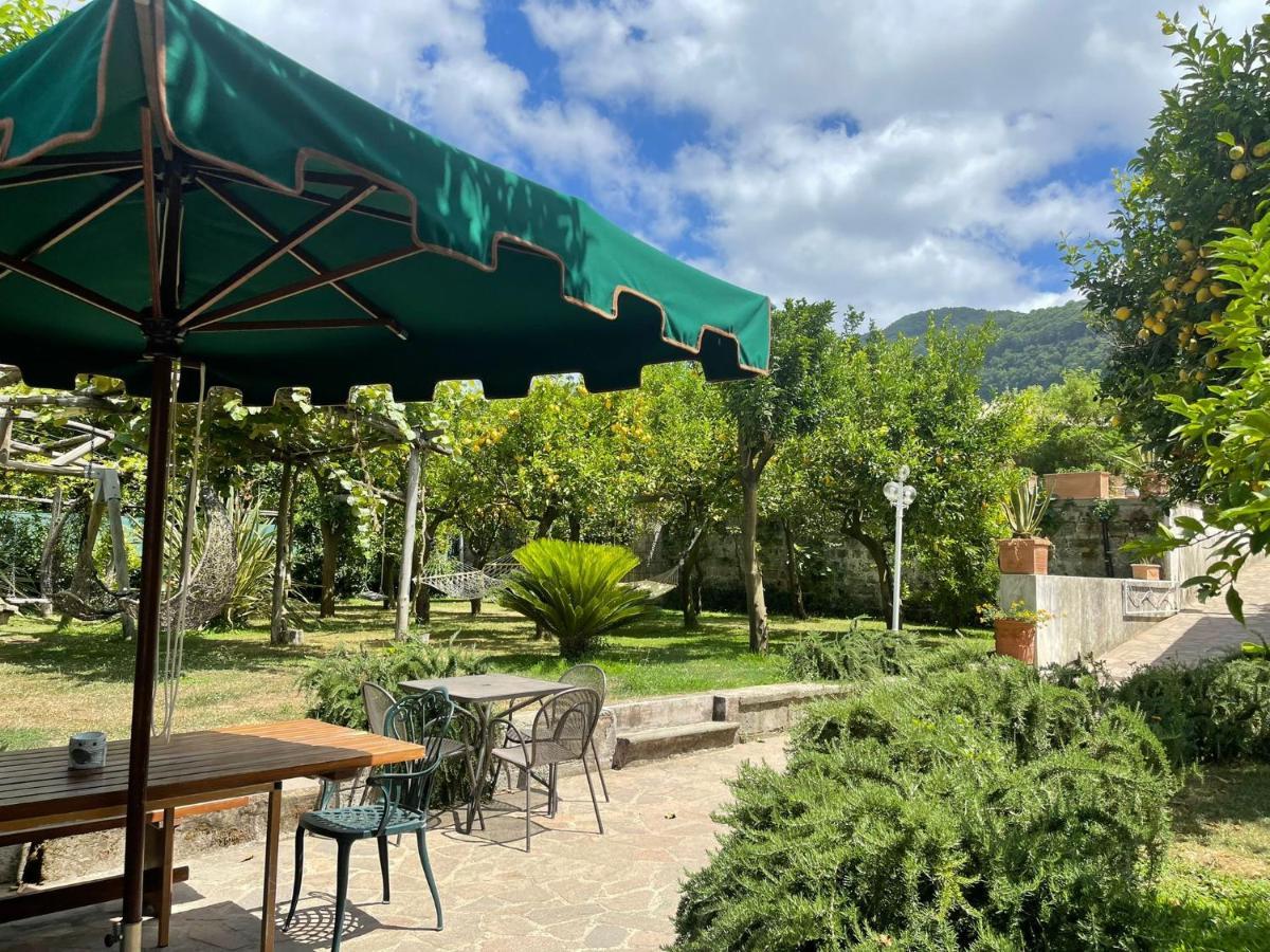 Casa Sorrento, Immerso Nel Verde A Pochi Passi Dal Centro מראה חיצוני תמונה